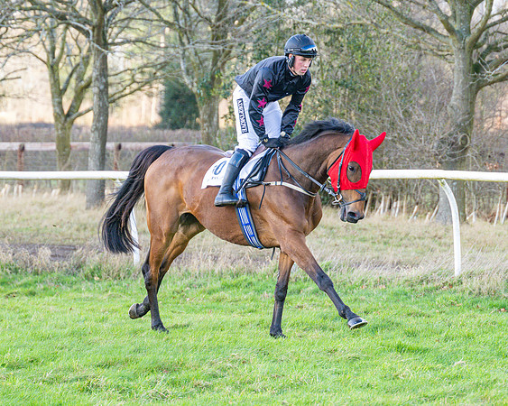 Race 4 - PPORA Novice Riders  (8 of 114)