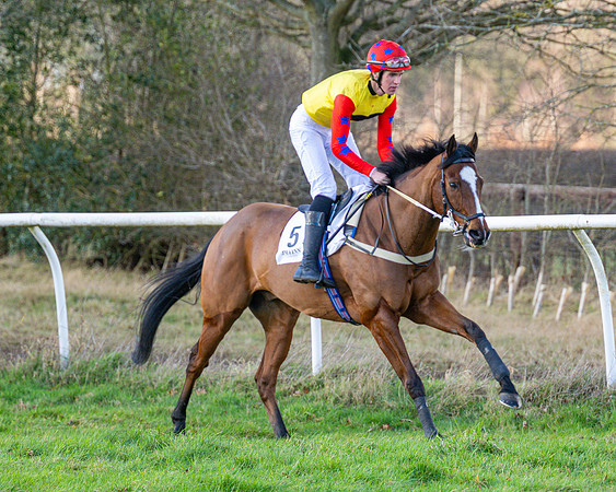 Race 4 - PPORA Novice Riders  (24 of 114)
