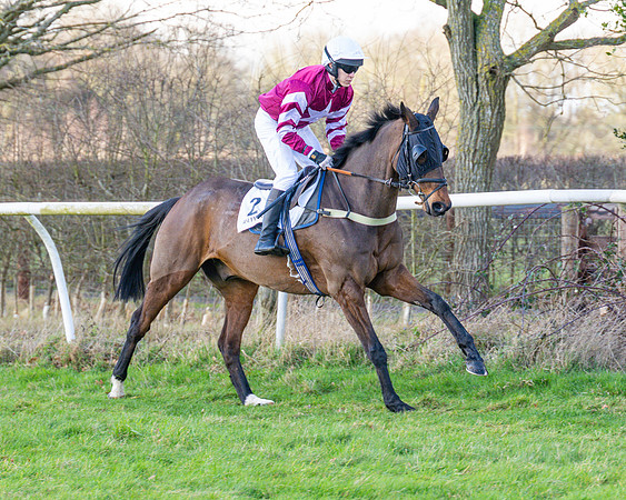 Race 4 - PPORA Novice Riders  (29 of 114)