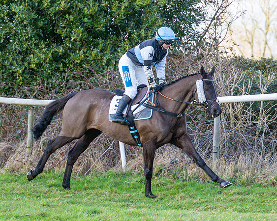 Race 4 - PPORA Novice Riders  (28 of 114)