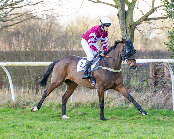 Race 4 - PPORA Novice Riders  (30 of 114)