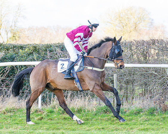 Race 4 - PPORA Novice Riders  (32 of 114)