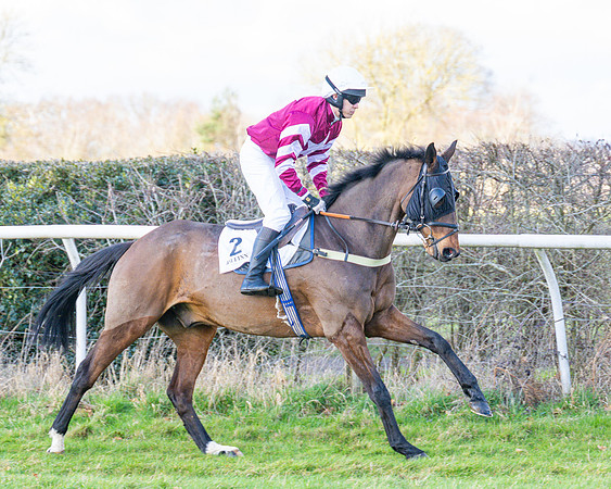 Race 4 - PPORA Novice Riders  (33 of 114)