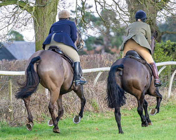 Race 4 - PPORA Novice Riders  (40 of 114)
