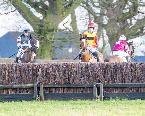 Race 4 - PPORA Novice Riders  (41 of 114)