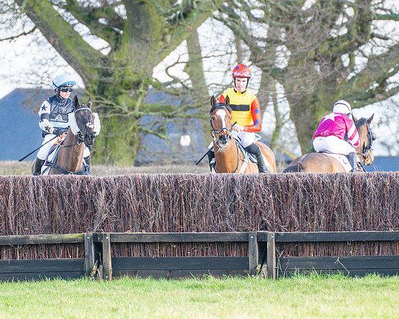 Race 4 - PPORA Novice Riders  (42 of 114)