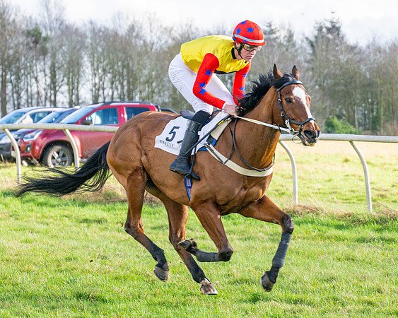 Race 4 - PPORA Novice Riders  (72 of 114)