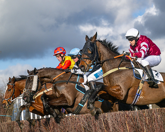 Race 4 - PPORA Novice Riders  (86 of 114)