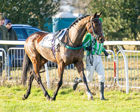 Race 6 - Restricted Race  (59 of 102)