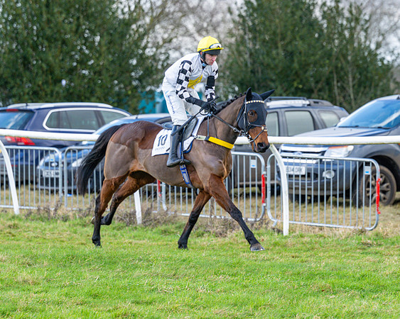 Race 5 - Maiden  (5 of 134)