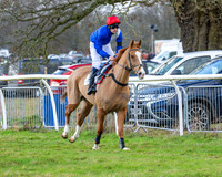 Race 5 - Maiden  (17 of 134)