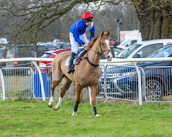 Race 5 - Maiden  (17 of 134)
