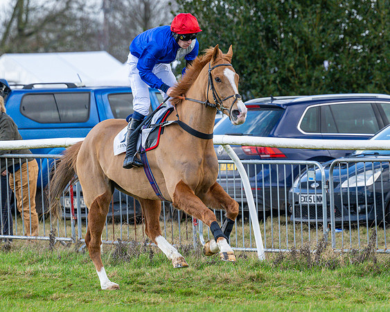 Race 5 - Maiden  (19 of 134)
