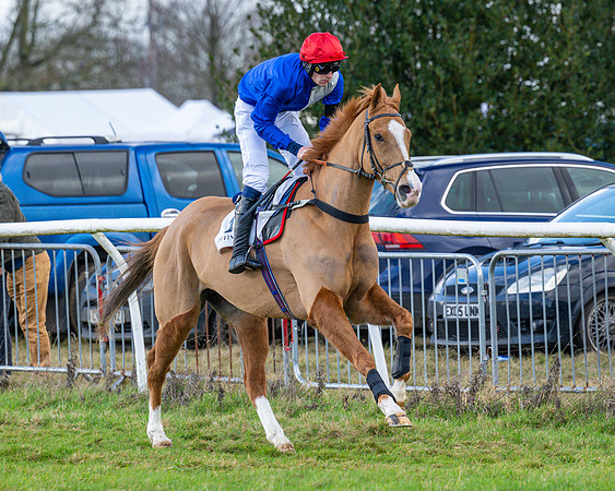 Race 5 - Maiden  (20 of 134)