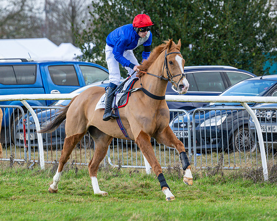 Race 5 - Maiden  (21 of 134)