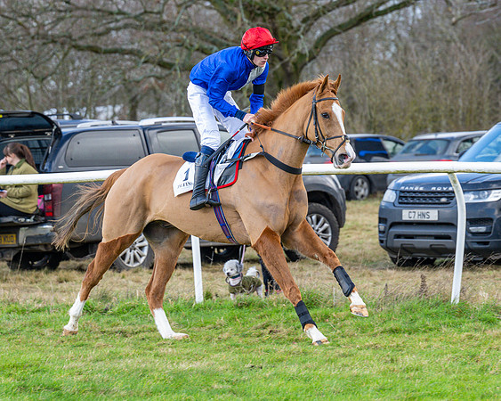 Race 5 - Maiden  (22 of 134)