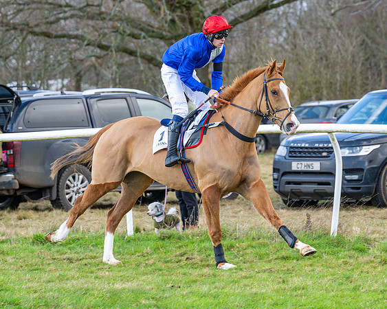 Race 5 - Maiden  (23 of 134)