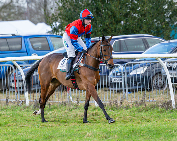 Race 5 - Maiden  (24 of 134)