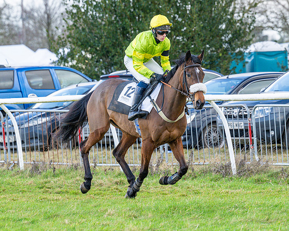 Race 5 - Maiden  (29 of 134)