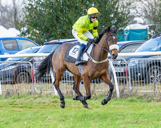 Race 5 - Maiden  (30 of 134)
