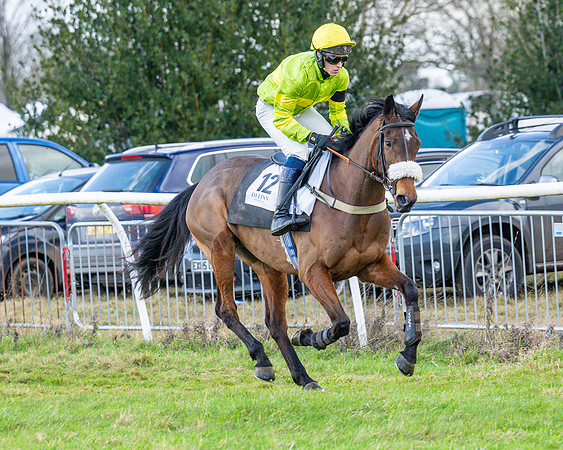 Race 5 - Maiden  (31 of 134)