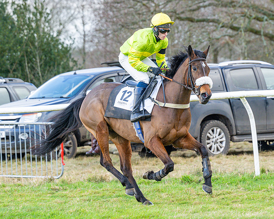 Race 5 - Maiden  (33 of 134)