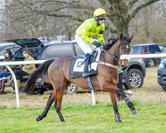 Race 5 - Maiden  (34 of 134)