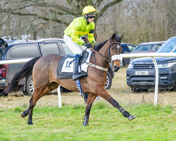Race 5 - Maiden  (35 of 134)