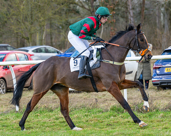 Race 5 - Maiden  (39 of 134)