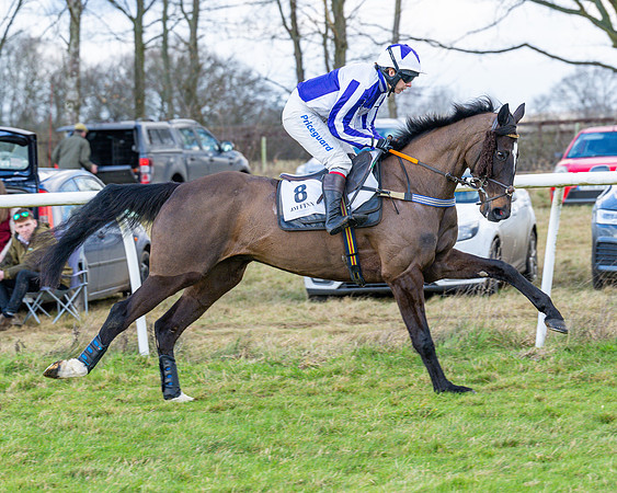 Race 5 - Maiden  (43 of 134)