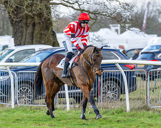 Race 5 - Maiden  (44 of 134)