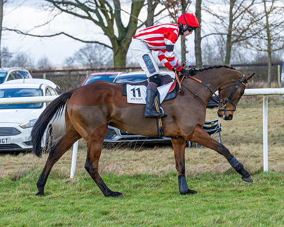 Race 5 - Maiden  (48 of 134)