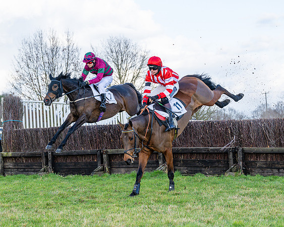 Race 5 - Maiden  (63 of 134)