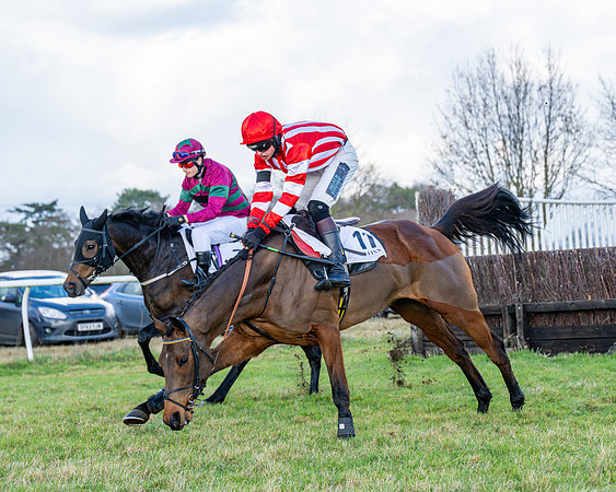Race 5 - Maiden  (71 of 134)