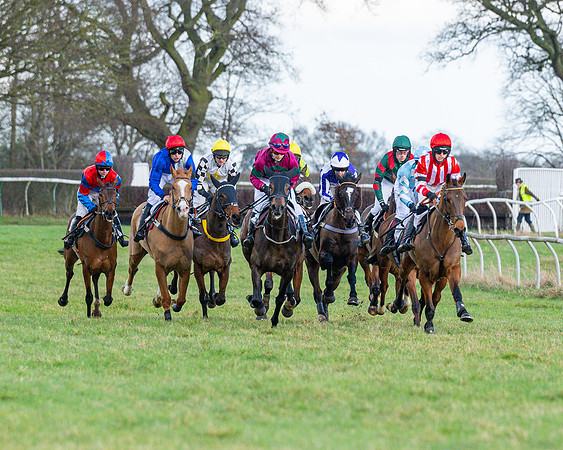 Race 5 - Maiden  (85 of 134)