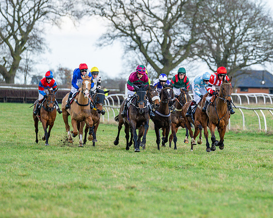 Race 5 - Maiden  (86 of 134)
