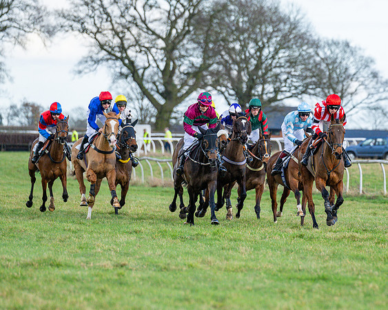 Race 5 - Maiden  (91 of 134)