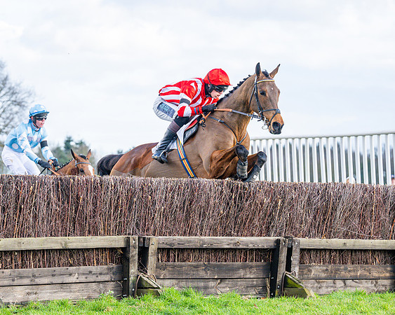 Race 5 - Maiden  (92 of 134)
