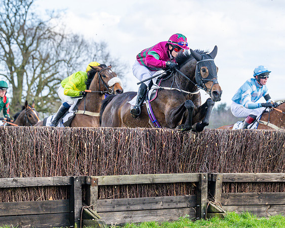 Race 5 - Maiden  (96 of 134)