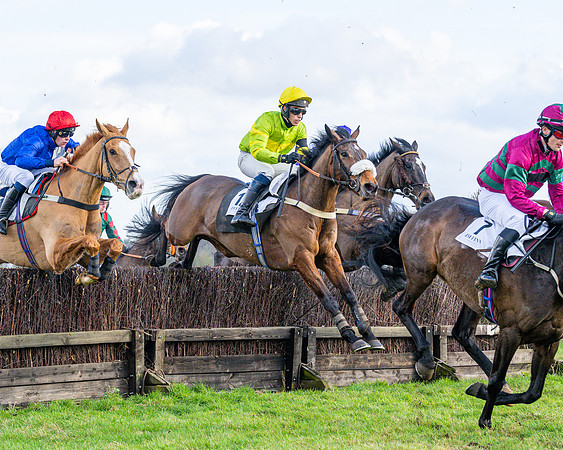 Race 5 - Maiden  (104 of 134)