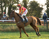 Race 1 - PPORA conditions 10