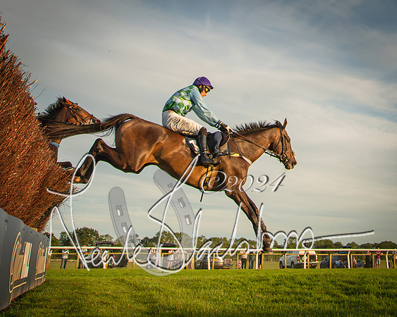 Race 5 - tipsterreviews.co.uk handicap (47 of 107)