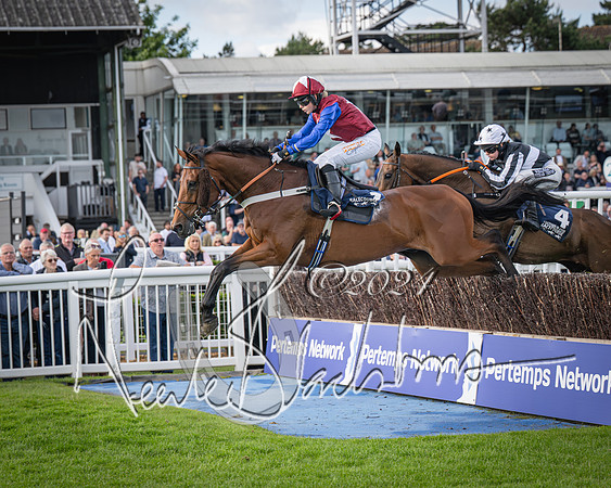 Race 2 - Olly Murphy Racing Stratford Ladies Open (75 of 111)