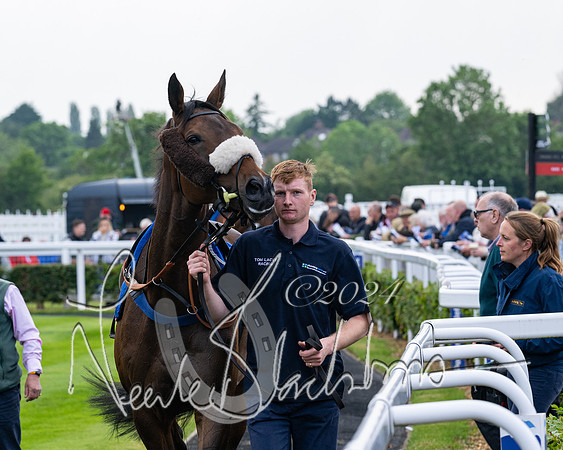 Race 1 - Restricted Novices Hunter Chase (26 of 145)