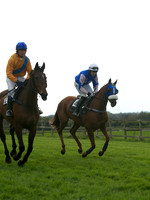 Southern Grand National  10
