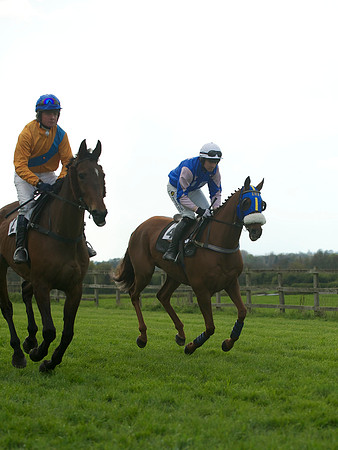 Southern Grand National  10