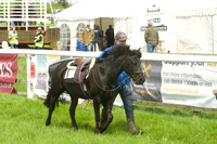 Pony Race - 1   3