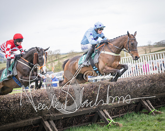 Race 6 - The Restricted Race (37 of 101)