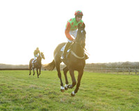 TVRC - Young Horse Maiden Division 2
