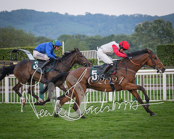 Race - 7 The Royal Gloucester Hussars Open Hunter's steeplechase 2m4f 127y (125 of 210)